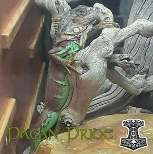 Meet your Posher, Nicholas